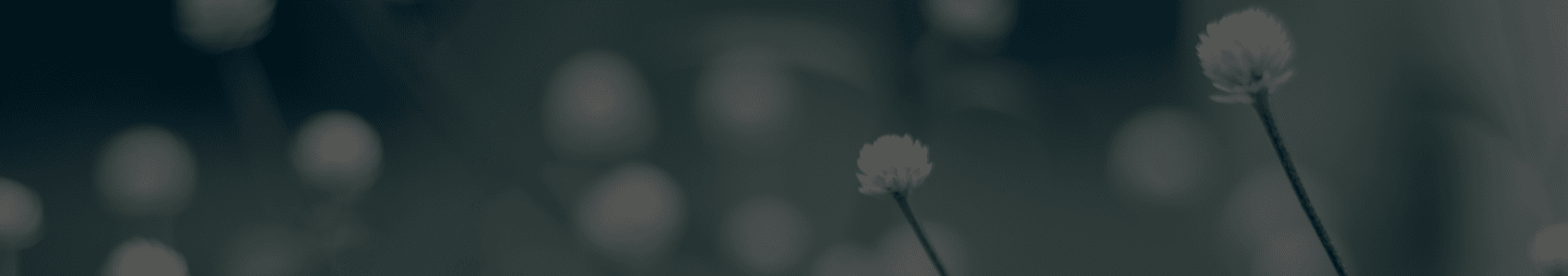 Mental Health Issues - Sentience Counselling Services - Trauma Therapy ...